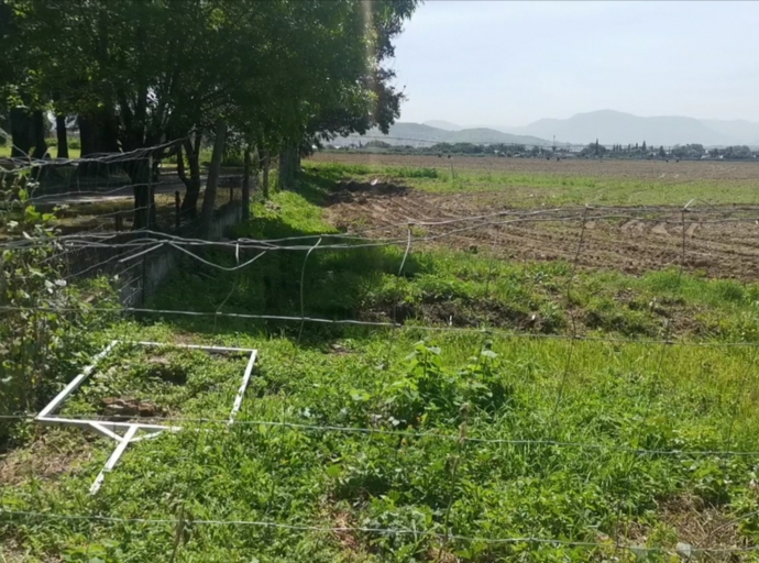 Habitantes de la colonia El León piden la intervención del Gobernador en el caso de Leonalli