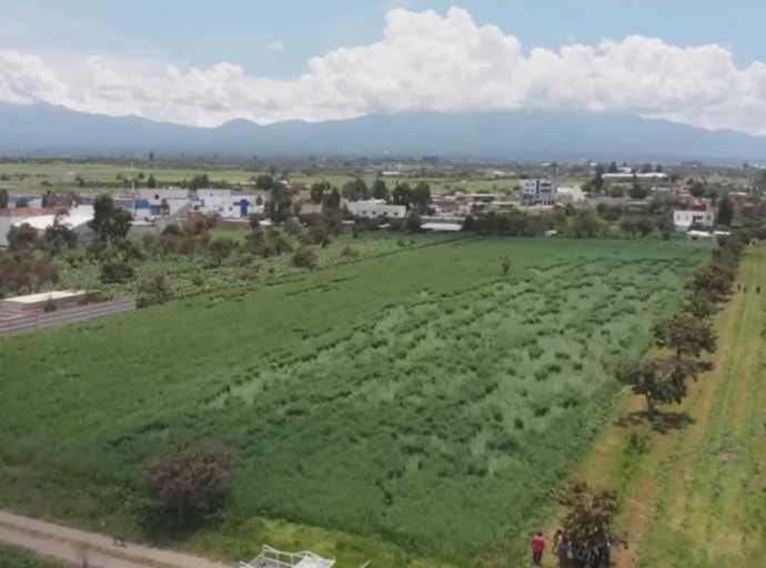 Encuentran figuras “extrañas” en el área del socavón