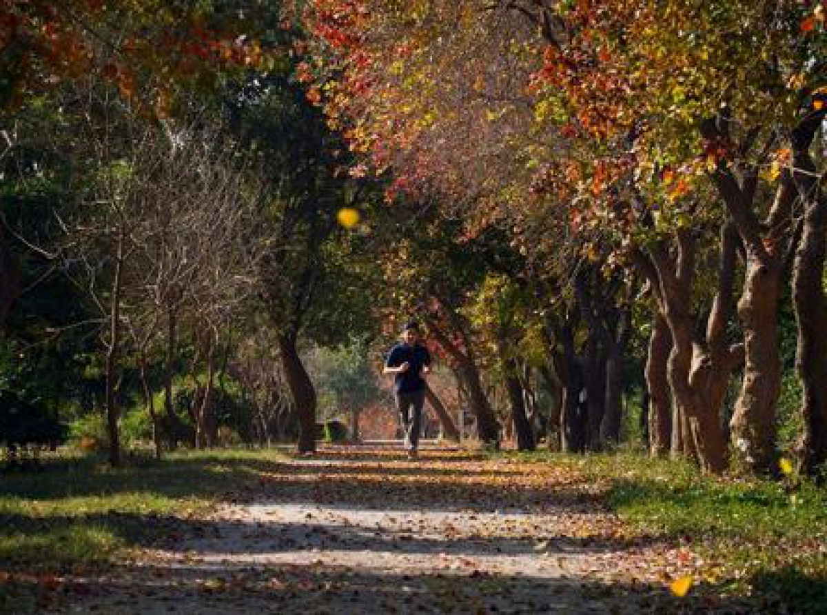 Comienza el equinoccio de otoño 