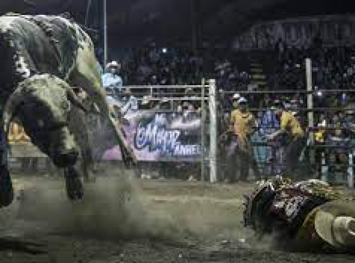 Regularán eventos como jaripeos y donde utilicen animales en Atlixco