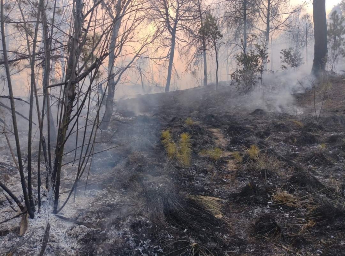Se logra mitigar incendio en San Nicolás de los Ranchos, quedando 80 hectáreas afectadas