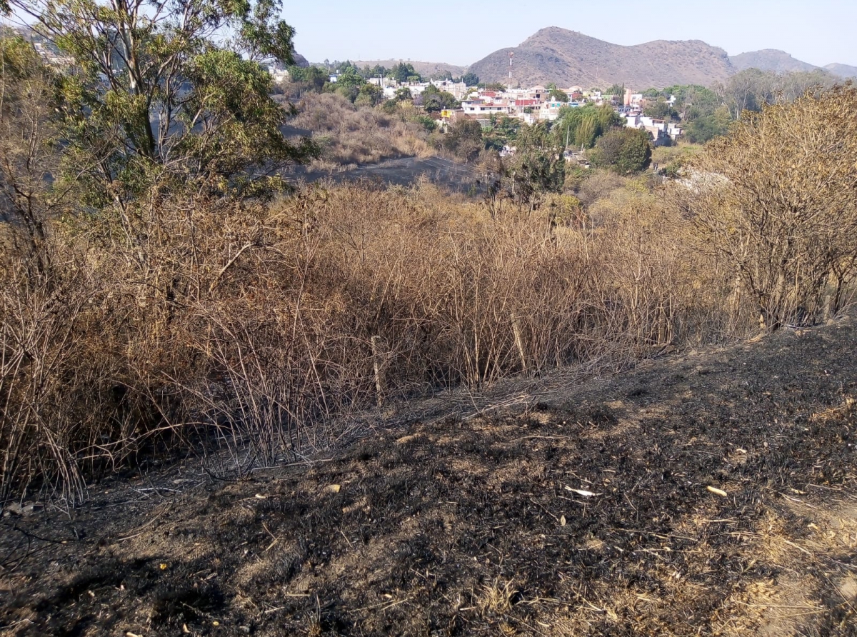 Dos incendios de pastizal en un solo día en Metepec