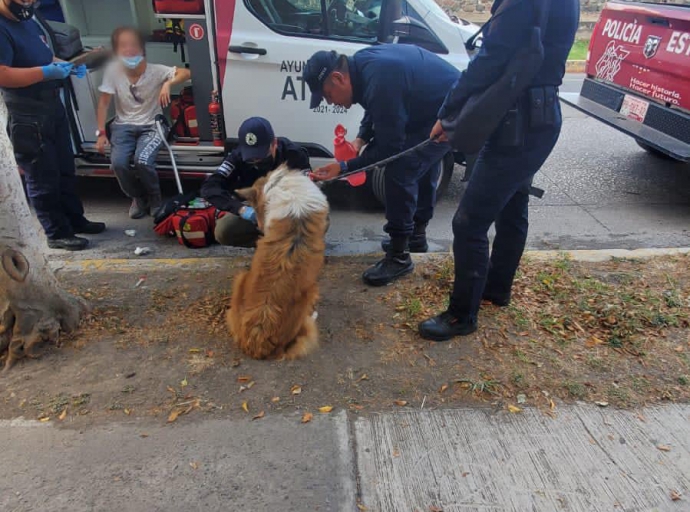 Herida y con lesiones queda persona de la tercera edad por ataque de perro en Atlixco 