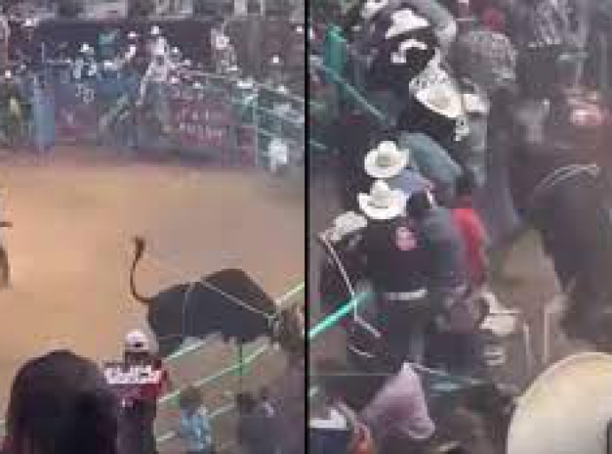 Toro de jaripeo mata a abuelito en Izucar de Matamoros 