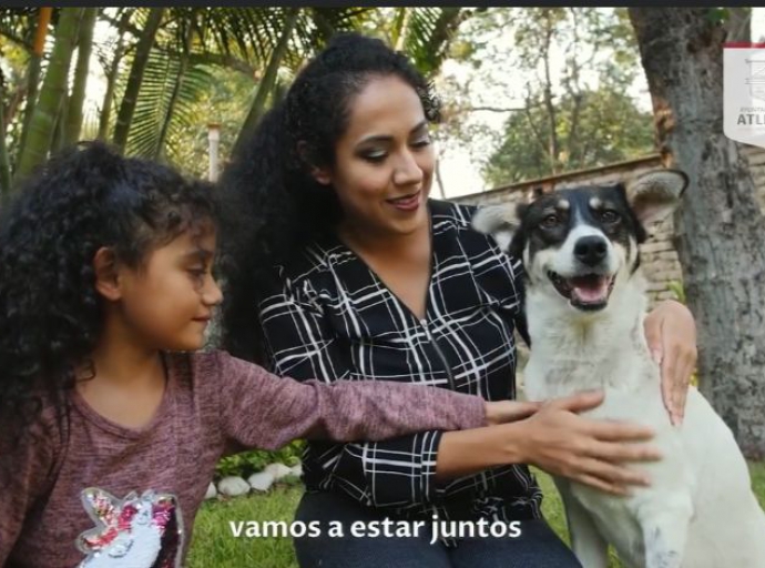  En el Centro municipal de Adopción y Bienestar animal puedes adoptar una mascota ¡Conócelo ya!.