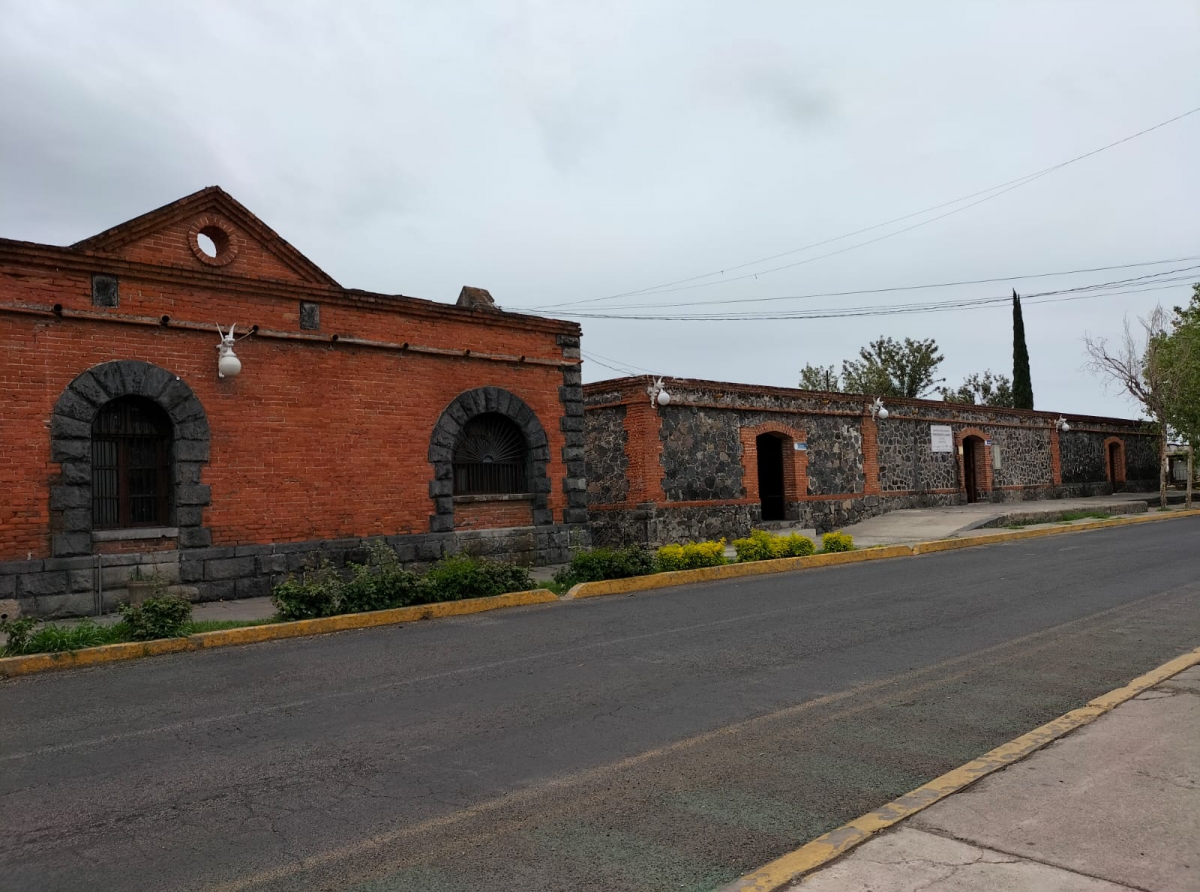 Conoce los nuevos programas de la biblioteca municipal 