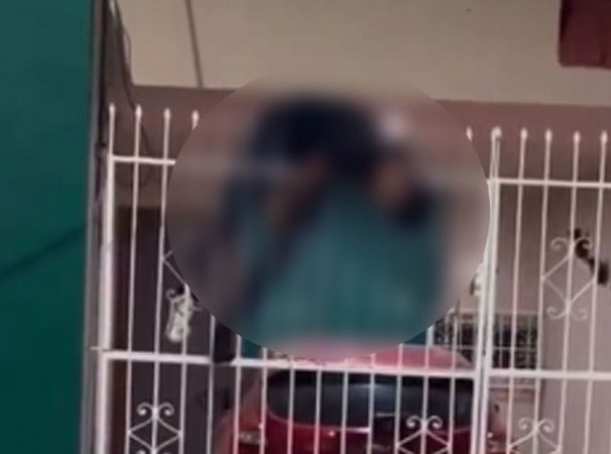 En Campeche, demandarán a familia que dejo morir a ladrón ensartado en su reja. 