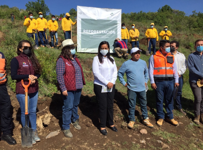 Reforestan la zona de la Microcuenca La leona 