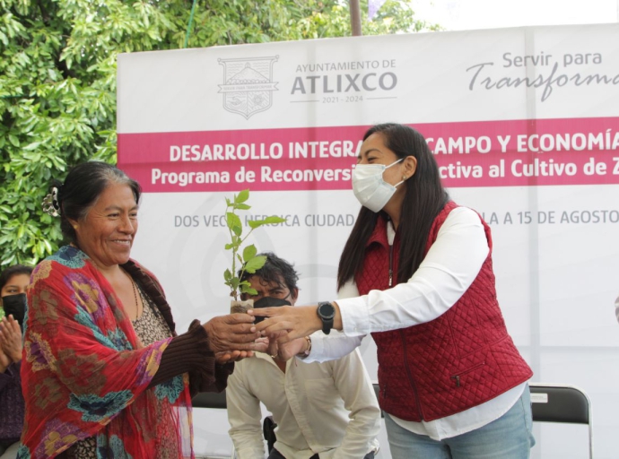 Impulsan primer proyecto de cultivo de zarzamora para mujeres atlixquenses