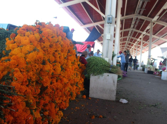 Más de 124 mdp en derrama económica por la venta de flor en Atlixco