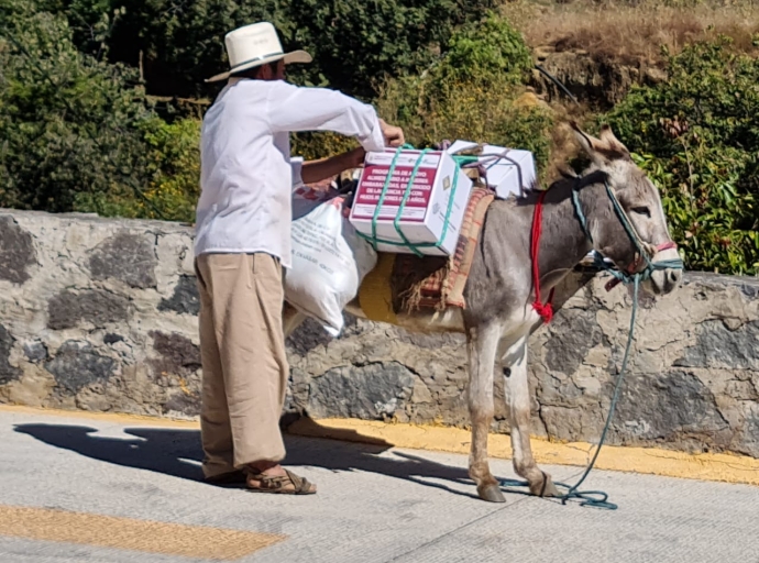 Entregan despensas para personas vulnerables en el municipio de Tochimilco 