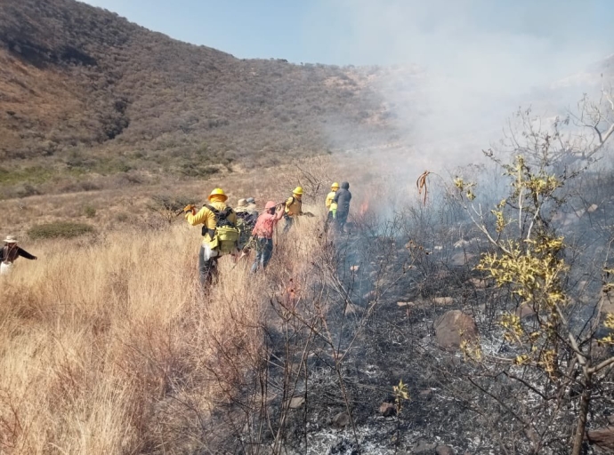 Hasta 6 incendios de pastizal ocurren en un solo día en Atlixco 