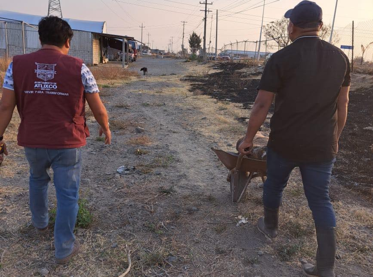 Casos de envenanamiento en Atlixco deben tener una denuncia para poder ser investigados