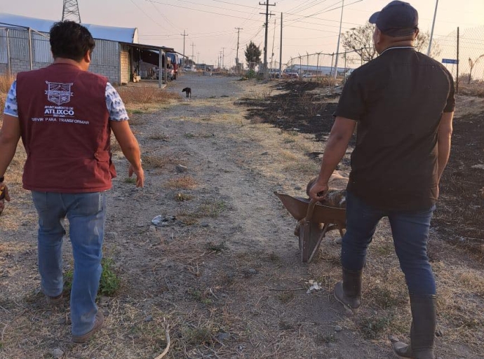 Casos de envenanamiento en Atlixco deben tener una denuncia para poder ser investigados