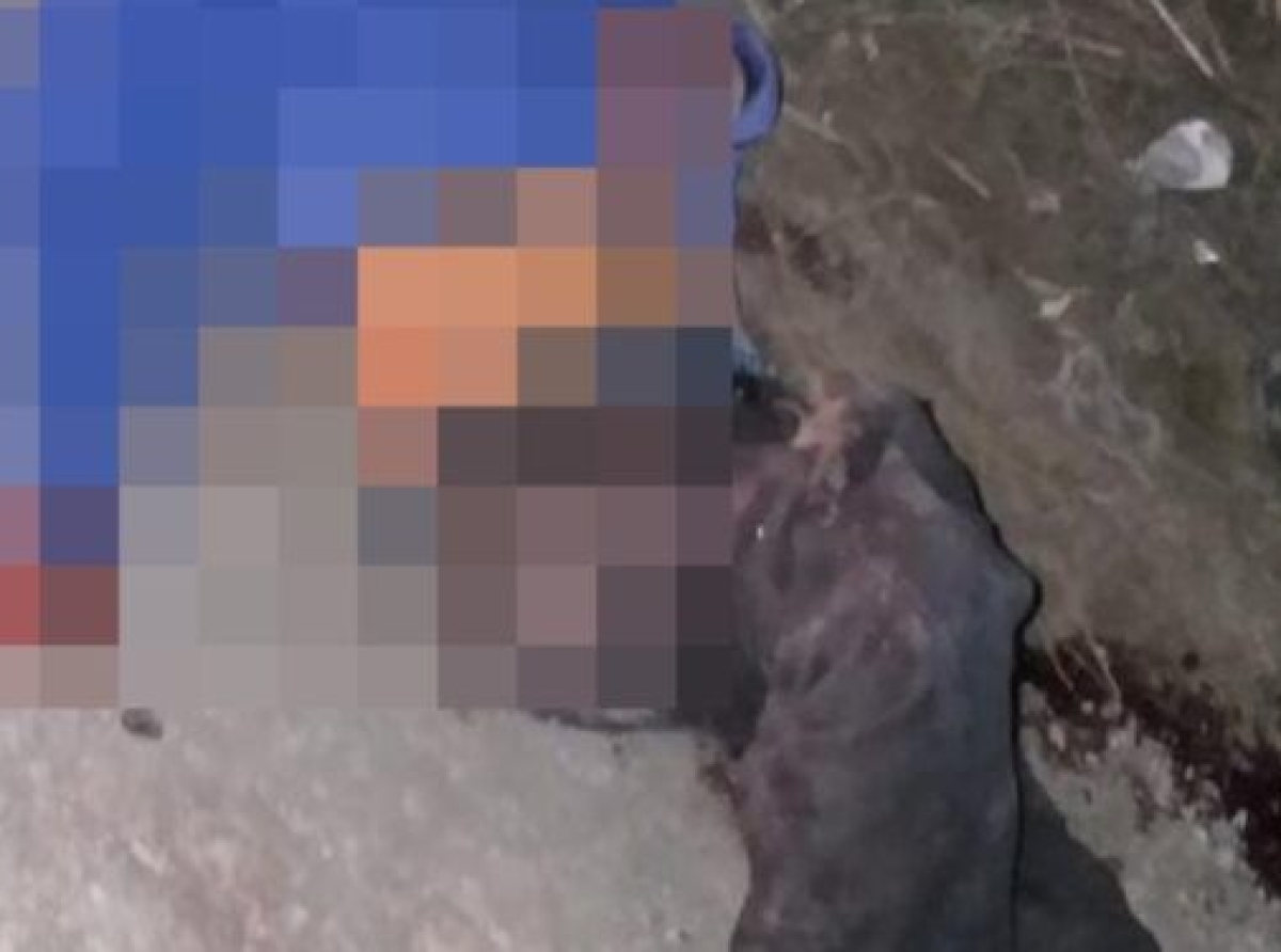 Hombre es asesinado a machetazos en Santa Isabel Cholula