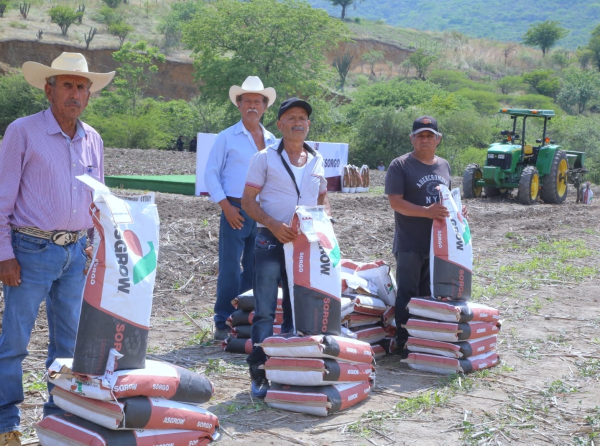 Para fortalecer a la Mixteca, gobierno de Puebla detonará producción de agave mezcalero