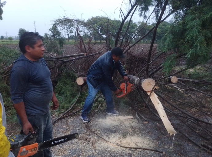 Fuerte lluvia derrumba arboles en Atlixco 