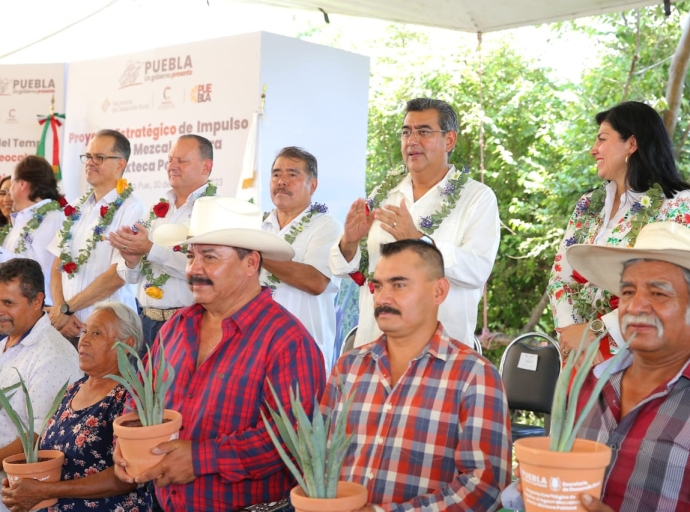 Favorece gobierno de Puebla producción de mezcal y desarrollo económico en Chiautla