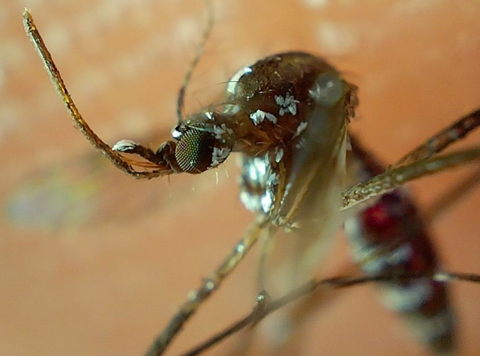 Acumula Puebla mil 140 casos de dengue: Salud