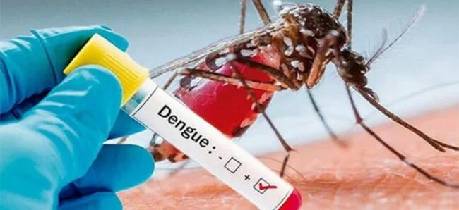 Reporta Salud mil 528 casos acumulados de dengue en 80 municipios