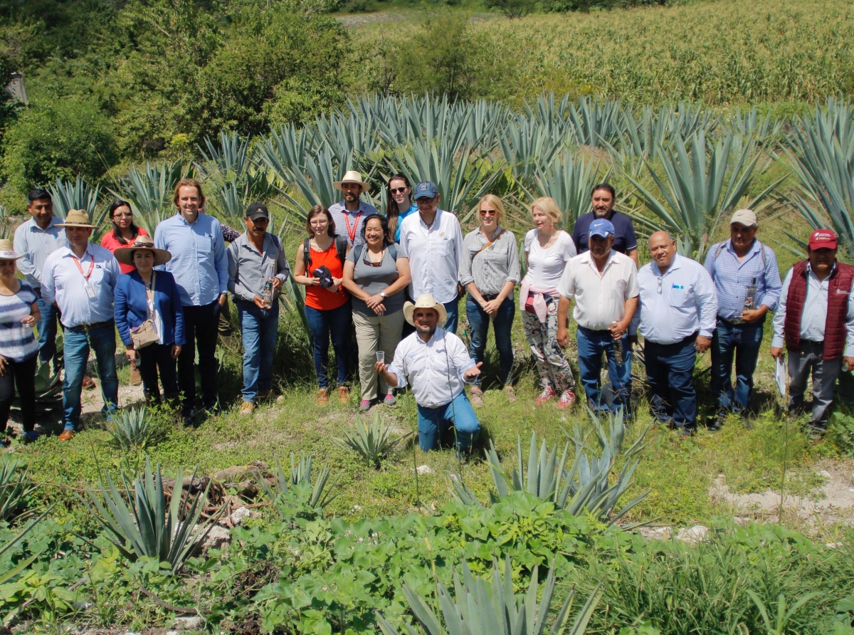 Ministerio de Desarrollo Económico Alemán visita palenque de San Diego La Mesa Tochimiltzingo