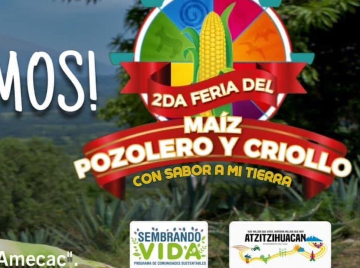 En San Juan Amecac, se llevará a cabo la 2da Feria del Maíz Pozolero y Criollo ¡No faltes!