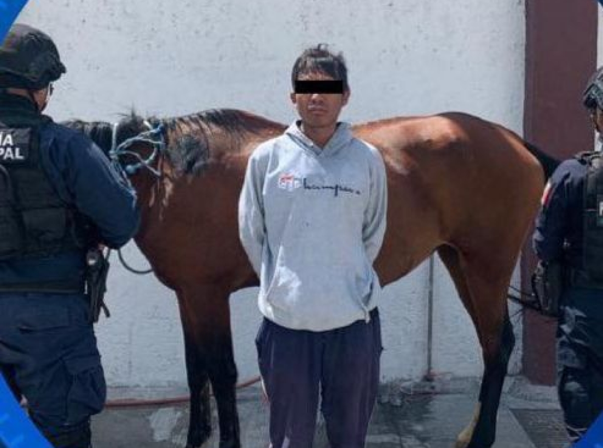 En la Trinidad Tepango detienen a masculino por robarse un caballo