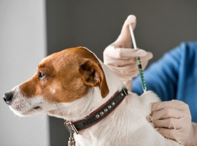 Inicia Salud Jornada Nacional de Vacunación Antirrábica Canina y Felina