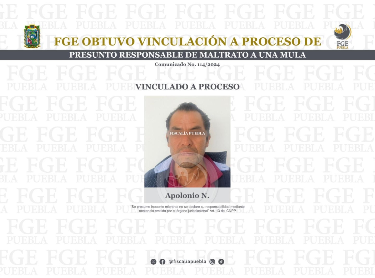 Vinculan a proceso a Apolonio N., agresor de la mula Hope, rescatada por Elena Larrea