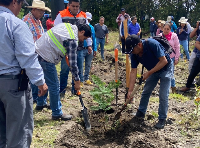 Reforestan 15,000 árboles en San Pedro Benito Juárez para proteger el medio ambiente