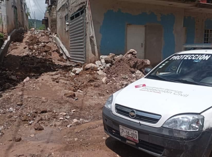 Nueve perritos mueren electrocutados tras tormenta en Calmeca