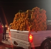 Inicia la venta de flor de muerto en la Plazuela Santa Rita