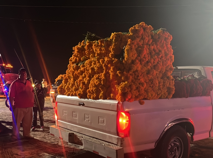 Inicia la venta de flor de muerto en la Plazuela Santa Rita