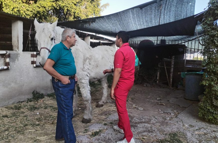 Cero tolerancia y todo el peso de la ley a quien maltrate a seres sintientes: Armenta