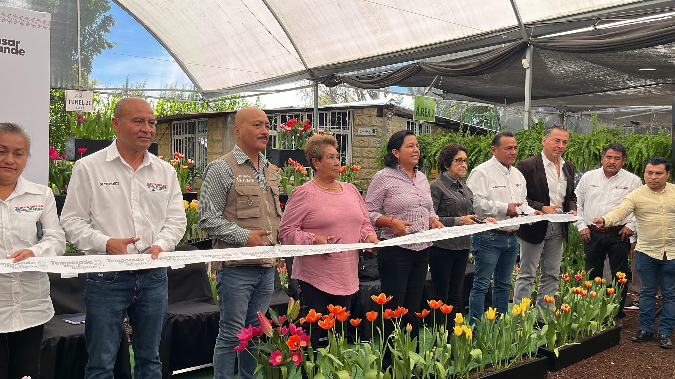 El Festival del Tulipán Holandés llenará de vida el zócalo de Atlixco