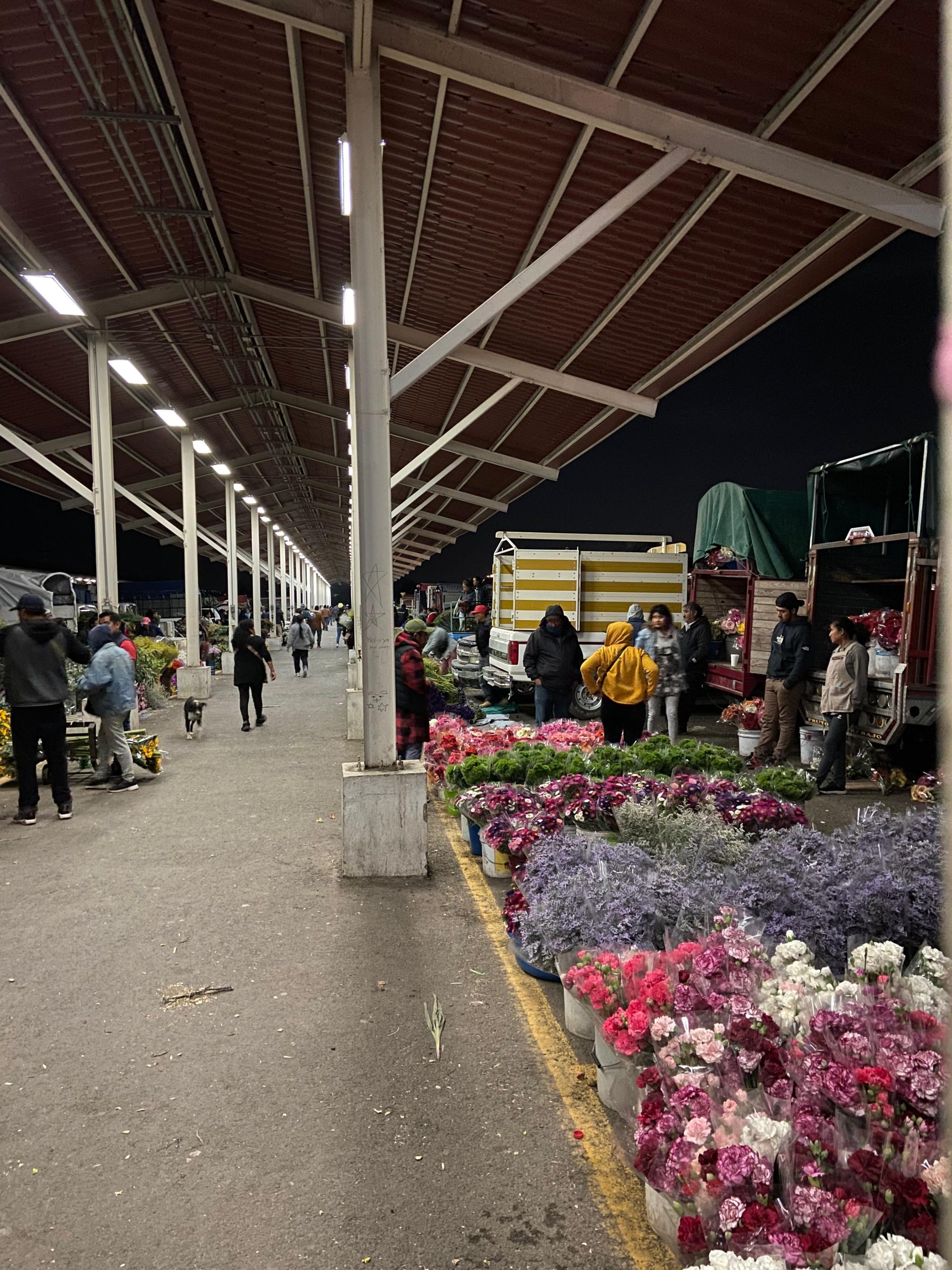 Atlixco busca comercializar 280 toneladas de rosas por el Día del Amor