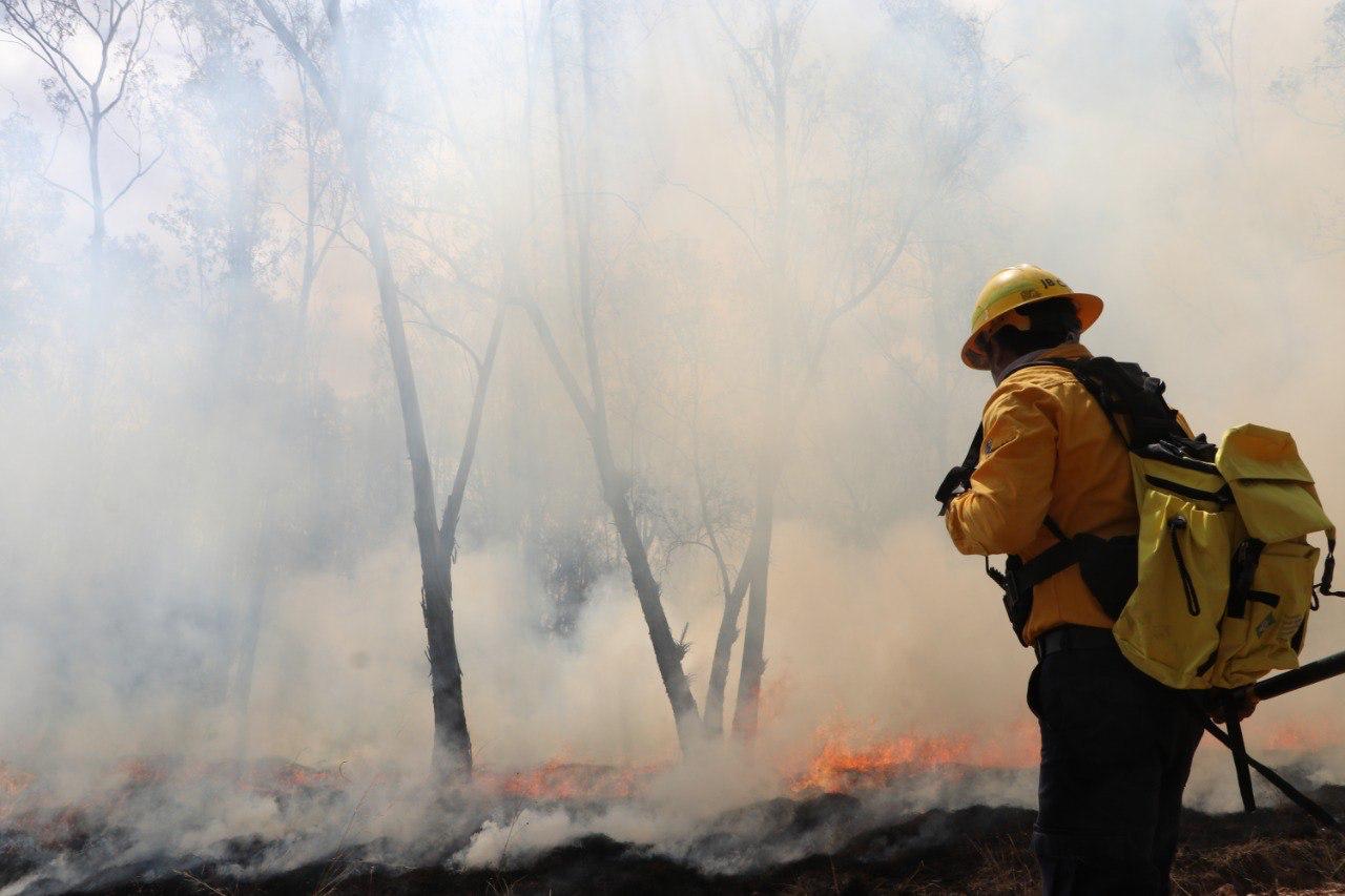 Incendio forestal arrasa con 15 hectáreas en Jolalpan