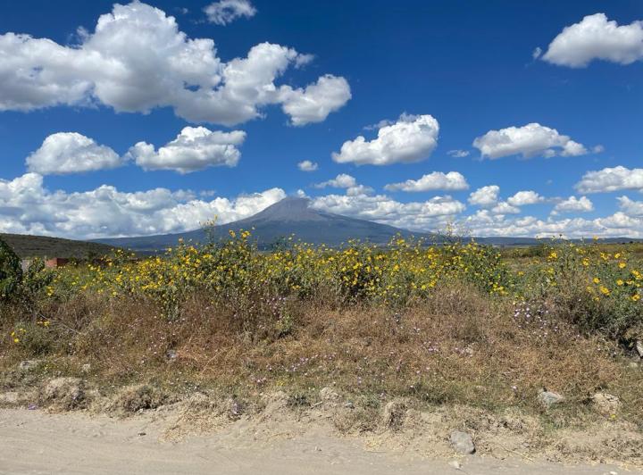 Privan de la vida a joven con varios impactos de bala en Huaquechula